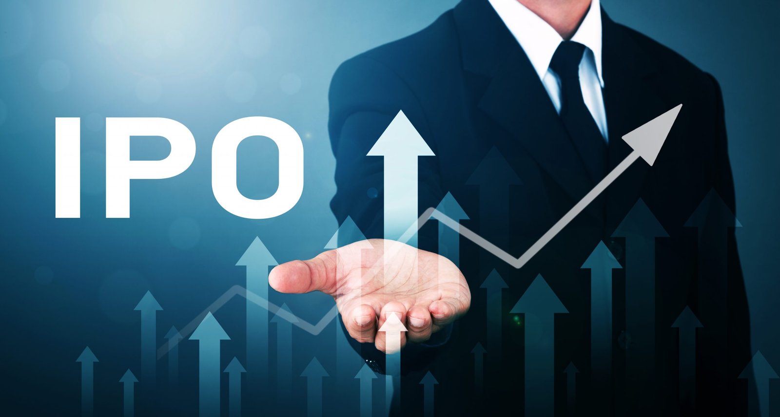 IPO Investment Strategy 2025