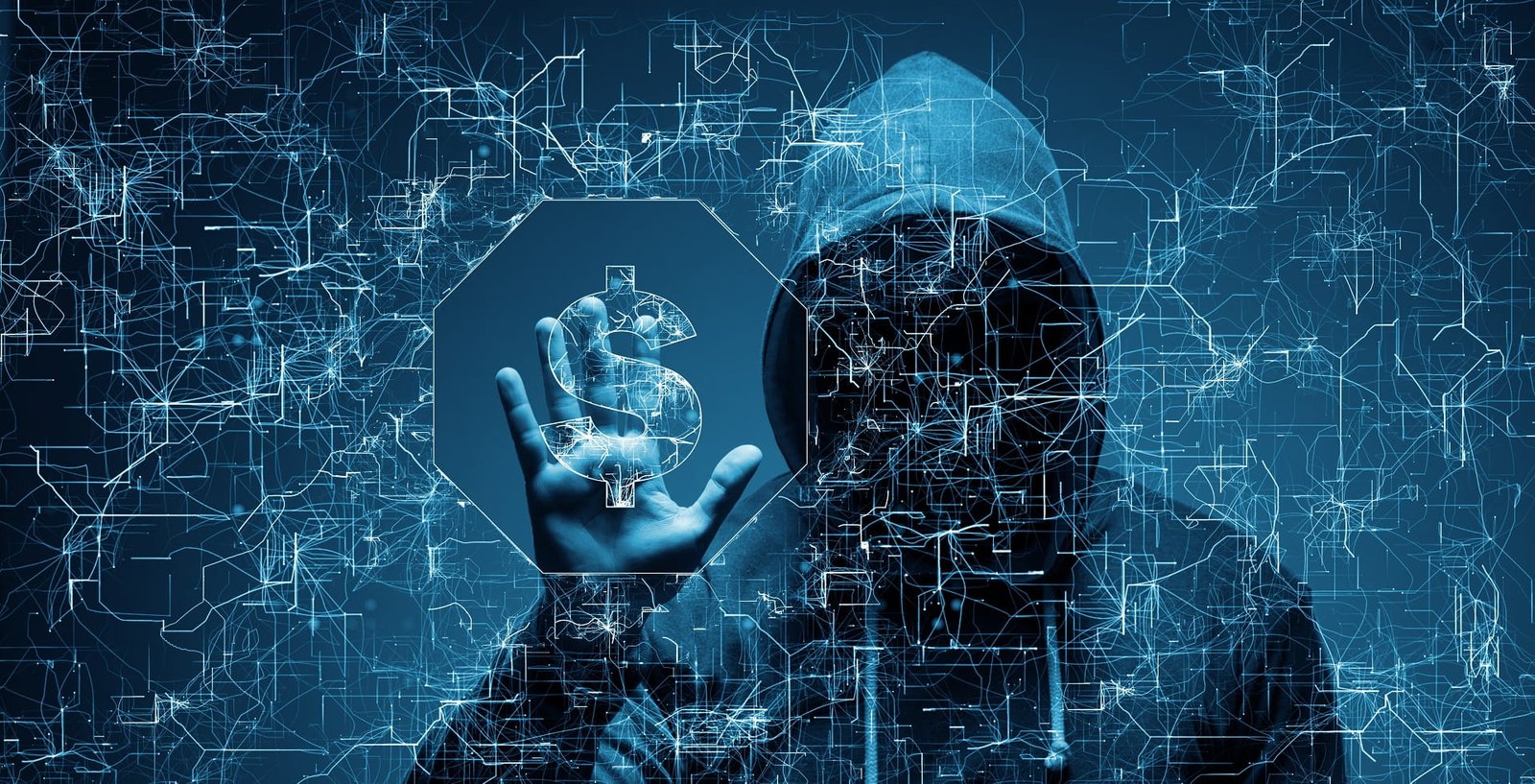 The Best Coding Language For Computer Science Students